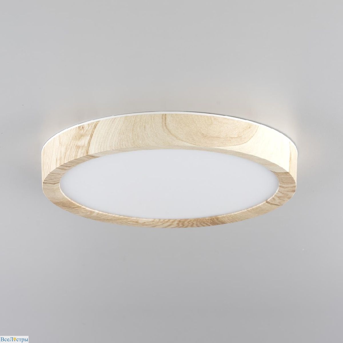 потолочный светильник citilux бейсик cl738122n