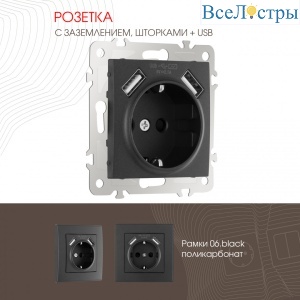 Розетка с заземлением, шторками + 2 USB Arte Milano 206.47-1.black