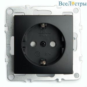 Розетка 2P+E Stekker Эрна черный PST16-9110-03 49154