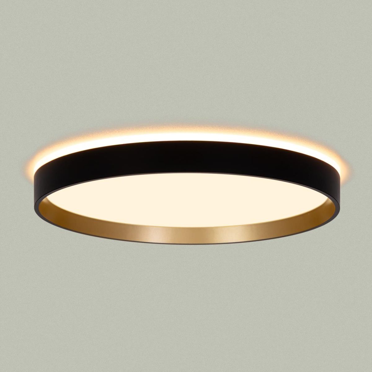 потолочный светильник citilux etalon cl750321r