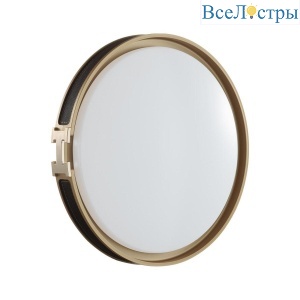 Настенно-потолочный светодиодный светильник Sonex Color Favemo Black 7667/DL