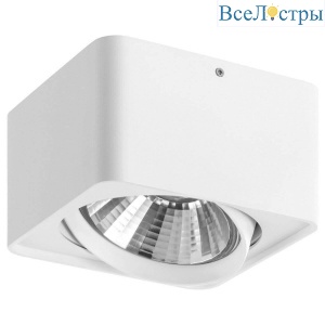 Накладной светильник Lightstar Monocco 212616