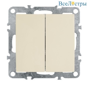 Выключатель двухклавишный Feron Stekker Эрна слоновая кость PSW10-9104-02 39323