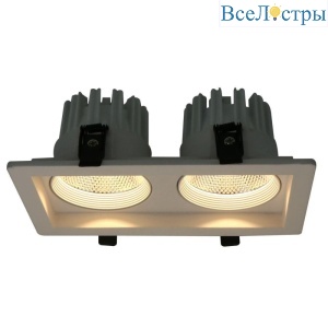 Встраиваемый светодиодный светильник Arte Lamp Privato A7007PL-2WH