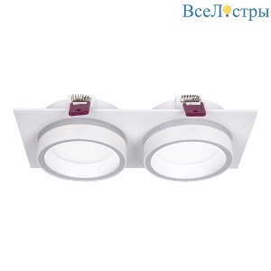 Встраиваемый светильник Favourite Vasto 4650-2C