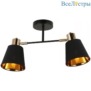 Потолочный светильник Illumico IL6116-2COU-79 BK GD Abelie