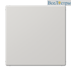 Заглушка Jung LS990 LS994BLG