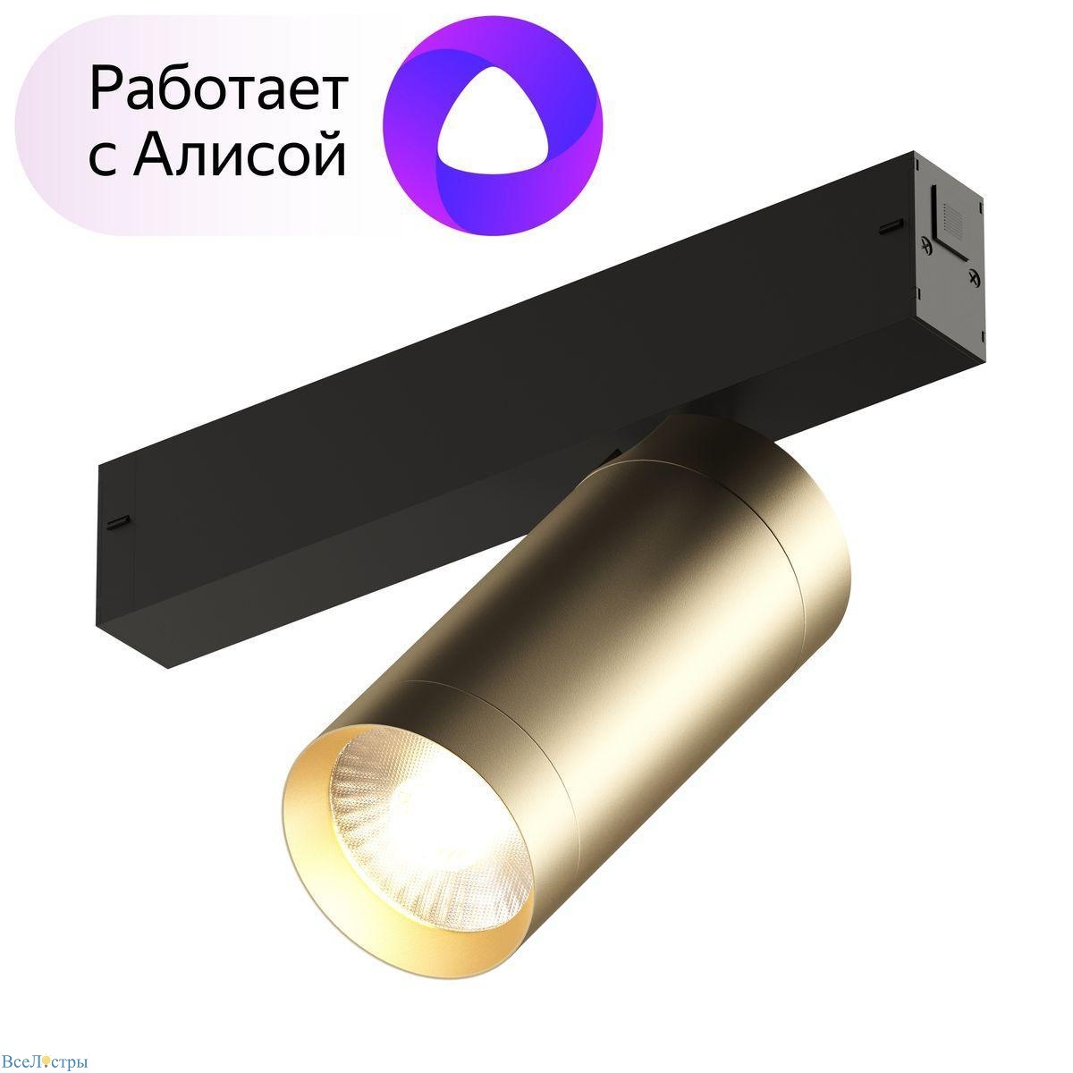 трековый светодиодный светильник denkirs smart spot dk8020-bg