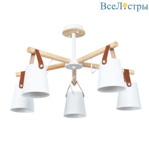 Потолочная люстра Arte Lamp Thomas A7032PL-5WH