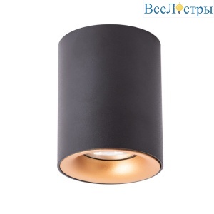 Накладной светильник ARTE Lamp A1532PL-1BK