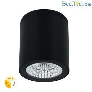 Уличный потолочный светильник Arte Lamp Torcular A1313PF-1BK