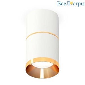 Комплект потолочного светильника Ambrella light Techno Spot XS (C7401, A2072, N7034) XS7401201