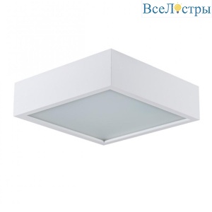 Потолочный светодиодный светильник Kanlux Mersa 25675