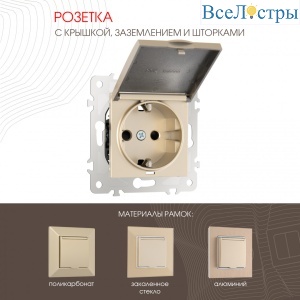 Розетка с заземлением, шторками и защитной крышкой Arte Milano 203.41-1.shampan
