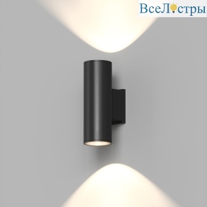 Фасадный светильник Denkirs Borg DK9821-BK