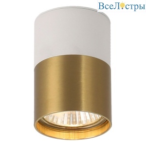 Накладной светильник Lussole Gilbert LSP-8830