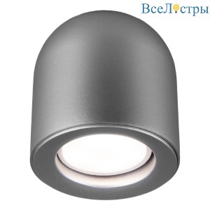 Потолочный светильник Elektrostandard Ogma DLN116 GU10 серебро 4690389153341