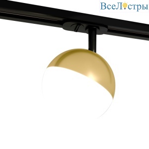Трековый светильник Эра TR42-GX53 BS Б0054180