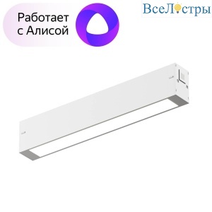 Трековый светодиодный светильник Denkirs DK8003-WH