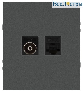 Розетка Эра Arktik 16-3110-06 комбинированная RJ45+TV графит Б0070499