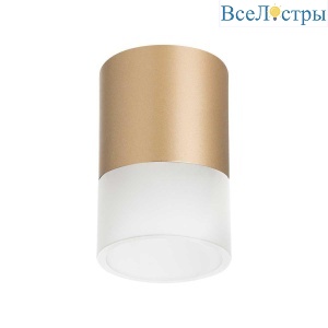 Потолочный светильник Lightstar Rullo (213490+202481) R349081