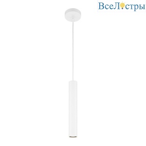 Подвесной светильник Maytoni Pro Focus MOD161PL-01W1