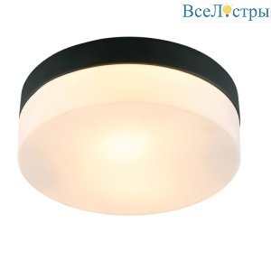 Потолочный светильник Arte Lamp Aqua-Tablet A6047PL-2BK