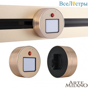 Трековый светильник Arte Milano Am-track-sockets 380011TL/Light Gold