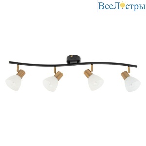 Спот Arte Lamp Falena A3117PL-4BK