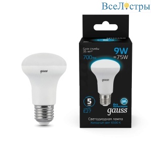 Лампа светодиодная Gauss E14 9W 6500K матовая 106002309