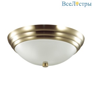 Настенно-потолочный светильник Lumion Vintage Kayla 5262/2C