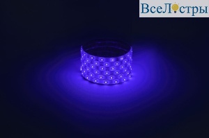 Светодиодная лента Эра 12В 2835 4,8Вт/м синий 5м IP65 LS2835-4,8-60-12-B-IP65-1 year-5m Б0059900