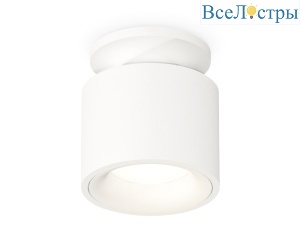 Потолочный светильник Ambrella Light Techno Spot XS7510041 (N7925, C7510, N7010)