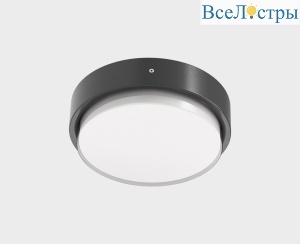 Уличный потолочный светильник Italline IT6026