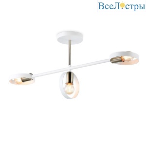 Потолочный светильник Ambrella light Traditional TR8228