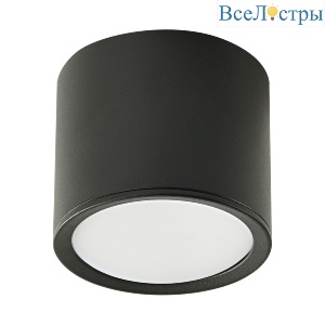 Накладной светильник Reluce 53005-9.5-001LD GX53 BK