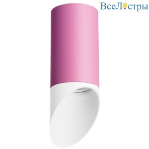 Накладной светильник Lightstar Rullo R43236 (214432+201436)