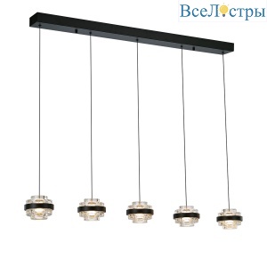 Подвесная люстра Delight Collection Indiana MD22030002-5B black/clear