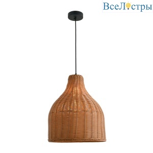 Подвесной светильник Favourite Elmo 4880-1P