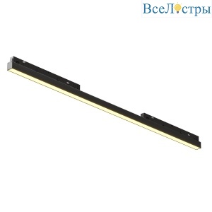 Трековый магнитный светильник Maytoni Basis TR030-2-30W2.7K-B