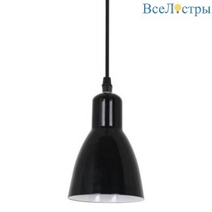Подвесной светильник Arte Lamp 48 A5049SP-1BK