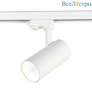 Трековый светодиодный светильник ST Luce ST661.546.30