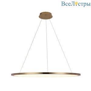 Подвесной светодиодный светильник Loft IT Ring 10014XL
