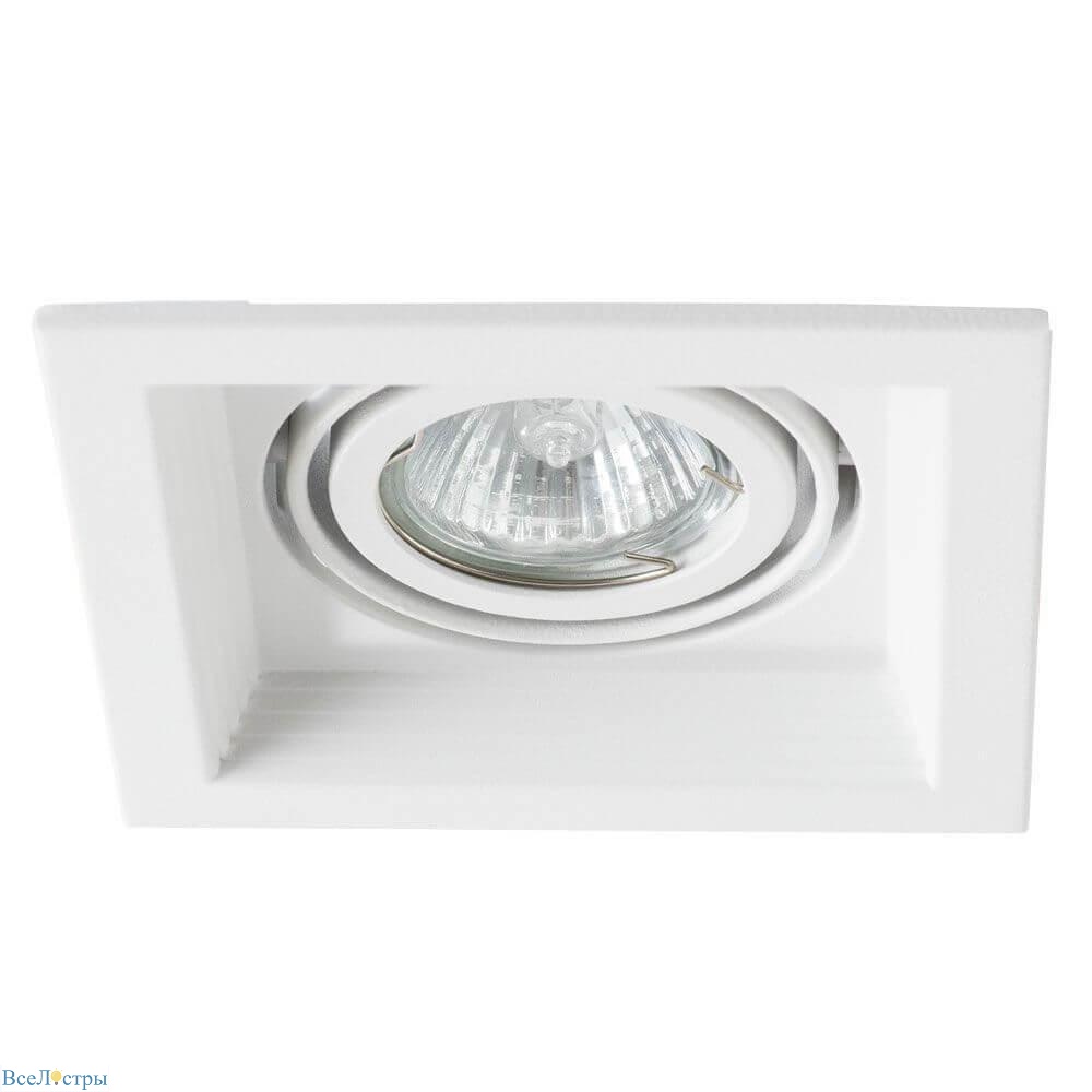 Canis Arte Lamp
