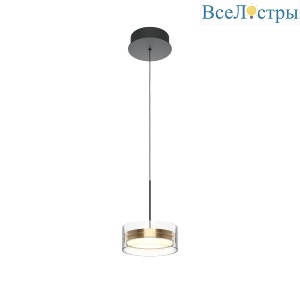 Подвесной светильник Maytoni Dress code MOD348PL-L14BBS3K