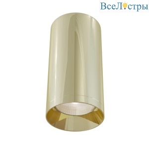 Потолочный светильник Maytoni Alfa C010CL-01G