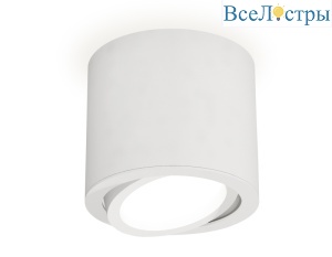 Накладной поворотный светильник Ambrella Light Techno XS7401001 (C7401, N7001)