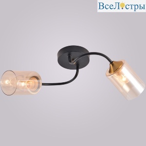 Потолочный светильник Reluce 01608-0.3-02 BK+BRASS
