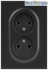 Розетка Эра Arktik 16-2107-05 без заземления двойная 2X2P 16А-250В антрацит Б0071685
