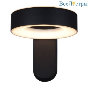 Уличный настенный светильник Reluce 86869-9.2-001JH LED2*12W BK RLOS